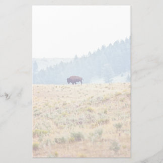 Lamar Stationery