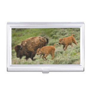 Lamar Valley Mini Stampede Business Card Case