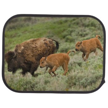 Lamar Valley Mini Stampede Car Mat by usyellowstone at Zazzle