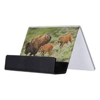 Lamar Valley Mini Stampede Desk Business Card Holder by usyellowstone at Zazzle