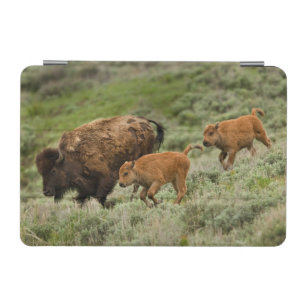 Lamar Valley Mini Stampede iPad Mini Cover