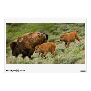 Lamar Valley Mini Stampede Wall Decal