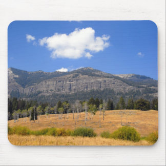Lamar Valley Mouse Pad