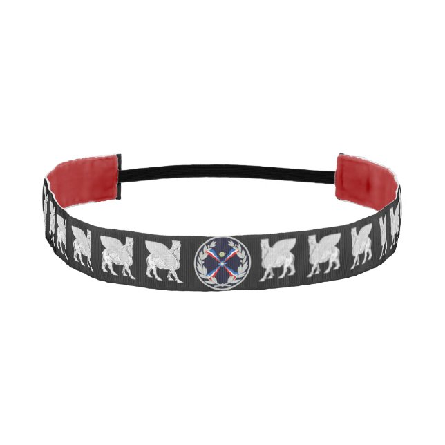 Lamassu and Flag Athletic Headband (Front)