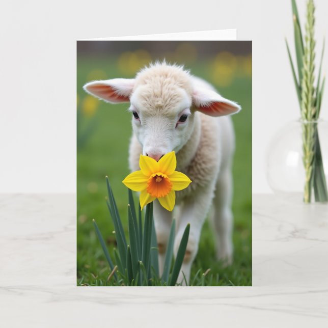 Lamb And Flower Spring Card (Front)