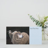 Lamb and Sheep (Standing Front)