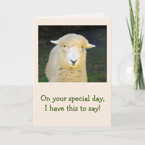 Lamb And Sheep Poetry Birthday Card