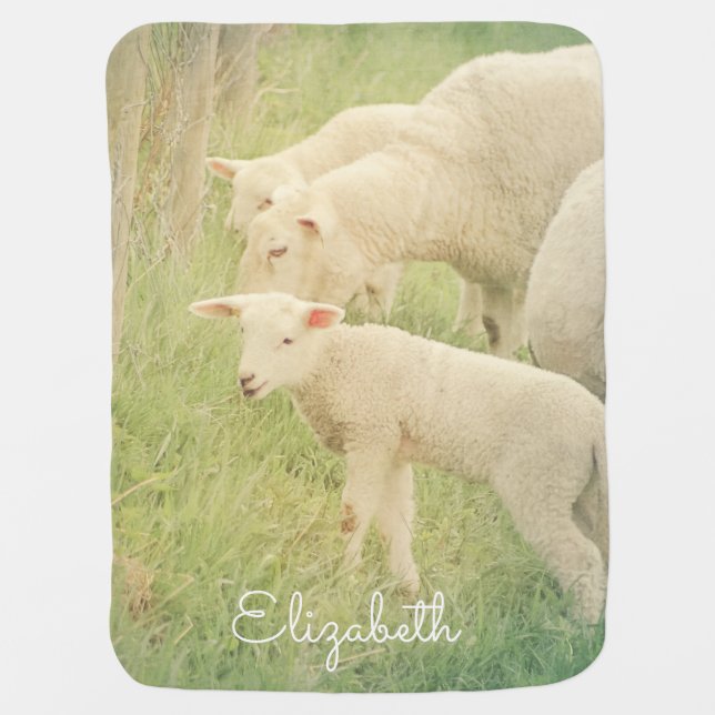 Lamb Baby Animals Sheep Custom Girl Boy Blanket (Front)