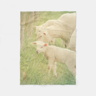 Lamb Baby Animals Sheep Fleece Blanket