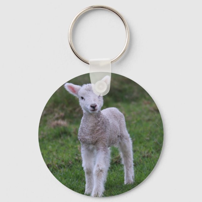 Lamb Baby Sheep Farm Animal Keychain (Front)