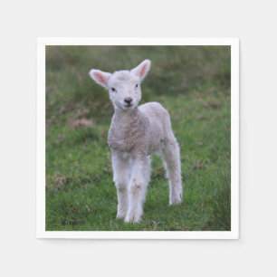 Lamb Baby Sheep Farm Animal Napkins