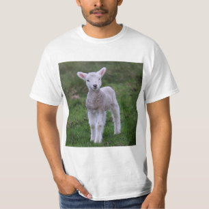 Lamb Baby Sheep Farm Animal T-Shirt