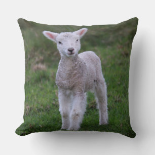 Lamb Baby Sheep Farm Animal Throw Pillow