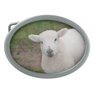 Lamb Belt Buckle