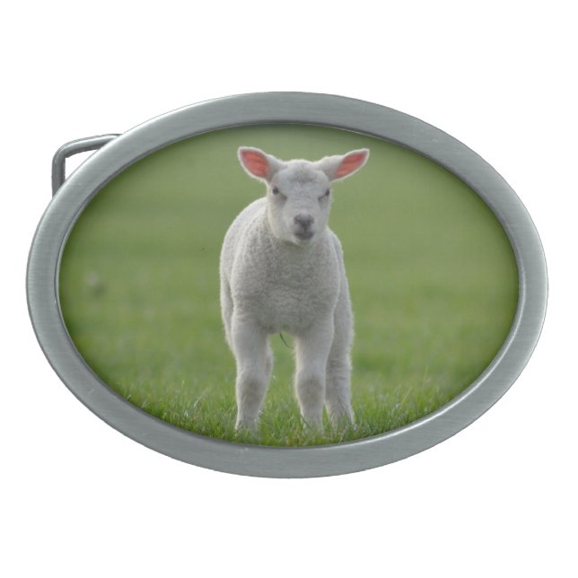 lamb belt buckle (Front)