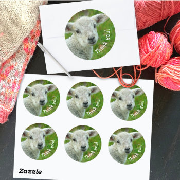Lamb Face Thank You Wool Business Classic Round Sticker by pamdicar at Zazzle
