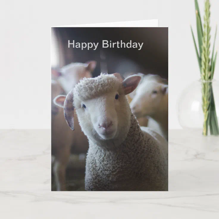 Lamb Happy Birthday Card | Zazzle