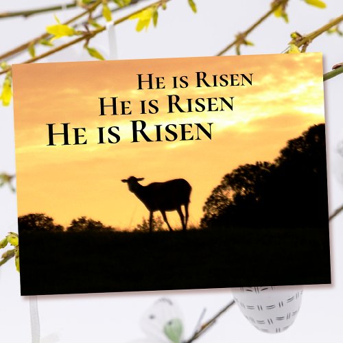 Lamb He Is Risen Easter Postcard