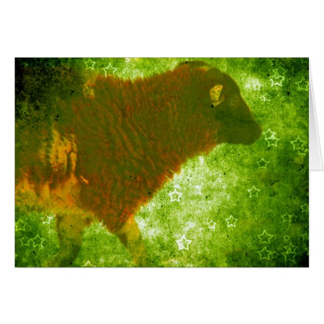 Lamb in a Field of Stars Cards (Front Horizontal)