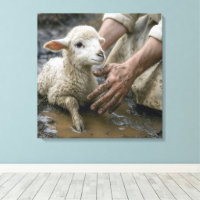 Lamb In Mud Rescued By a Shepherd