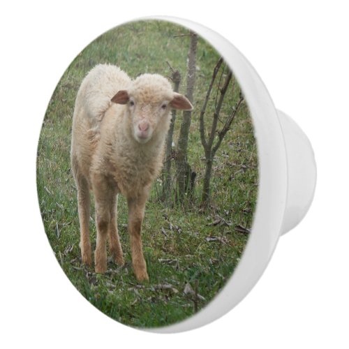 lamb in the farm ceramic knob