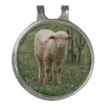Lamb In The Farm  Golf Hat Clip at Zazzle