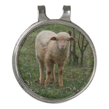 Lamb In The Farm  Golf Hat Clip by Spetenfia at Zazzle