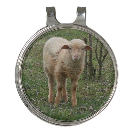 Lamb In The Farm  Golf Hat Clip
