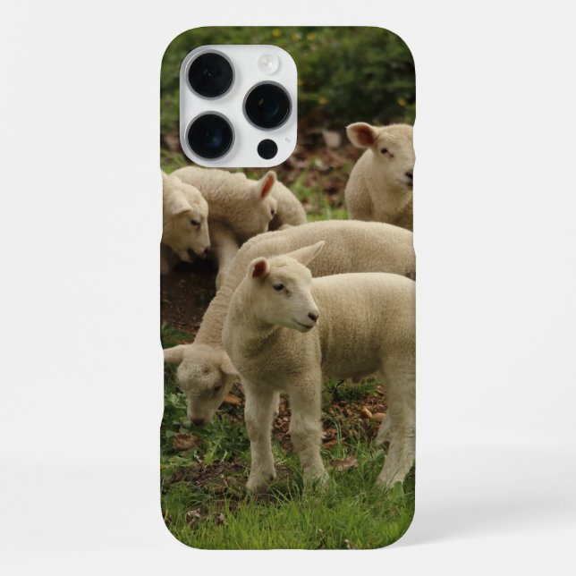 Lamb  iphone case (Back)