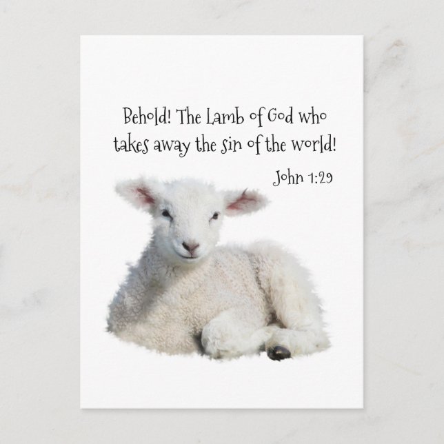 Lamb of God  Postcard (Front)