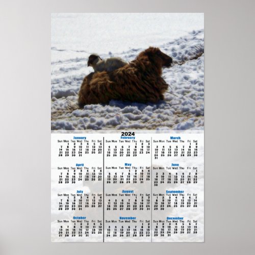 Lamb on Sheep 2024 Calendar Poster