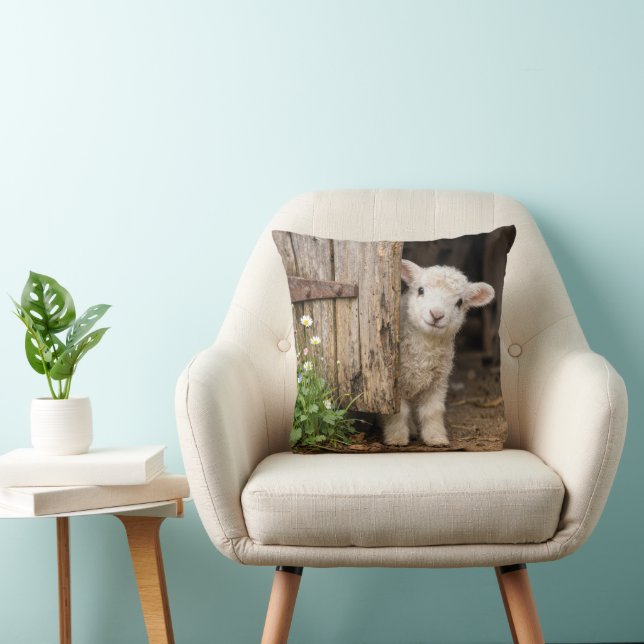 Lamb Peeking around a Barn Door Throw Pillow (Chair)