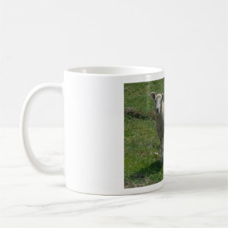Lamb Picture Coffee Mug