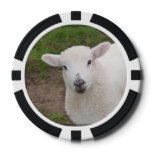 Lamb Poker Chips