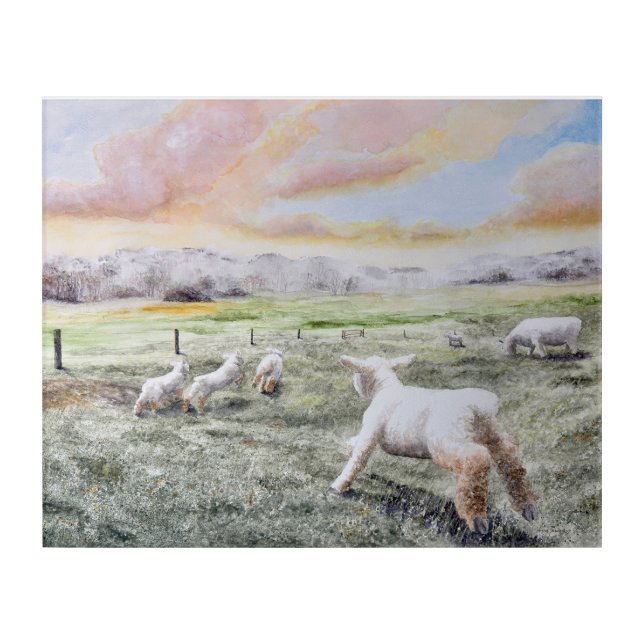 Lamb Races Acrylic Print (Front)