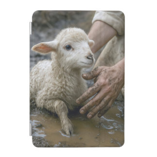 Lamb Rescued By a Shepherd iPad Mini Cover