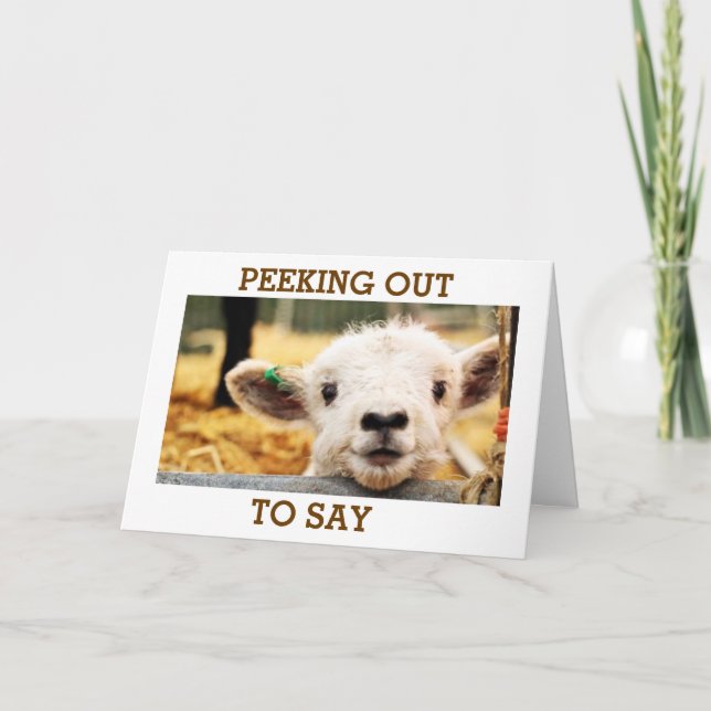 LAMB SAYS "HAVE A VERY HAPPY BIRTHDAY" HOLIDAY CARD (Front)