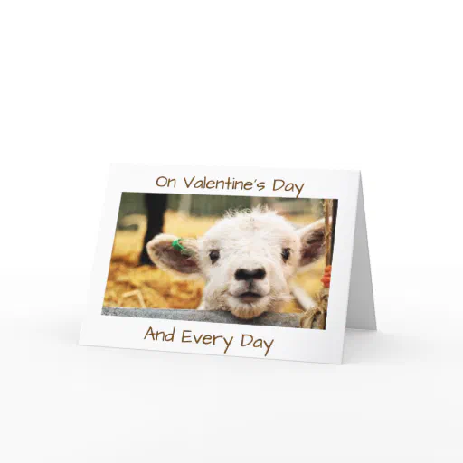 LAMB SAYS &quot;I LOVE YOU&quot; VALENTINE CARD