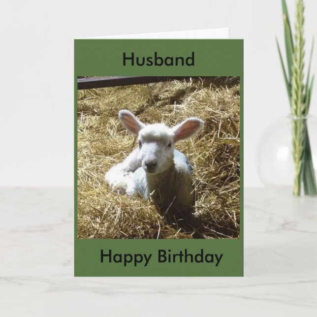 Lamb Sheep Birthday Card Personalize Birthday etc (Front)