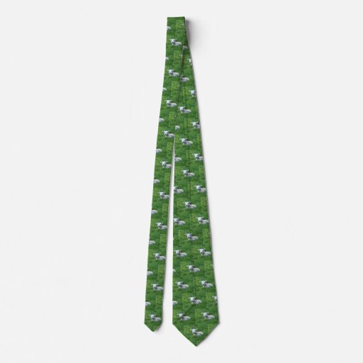 Lamb Sheep Livestock on Green Grass Print Neck Tie | Zazzle