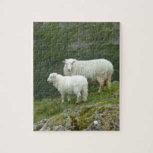Lamb & Sheep - Scottland/ British Countryside Jigsaw Puzzle