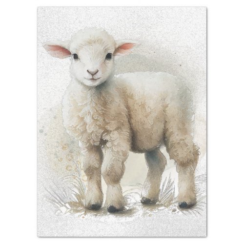 Lamb Sheep Watercolor Tissue Paper