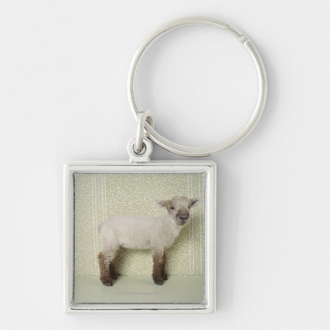 Lamb Standing Indoors, and Floral Wallpaper Keychain (Front)