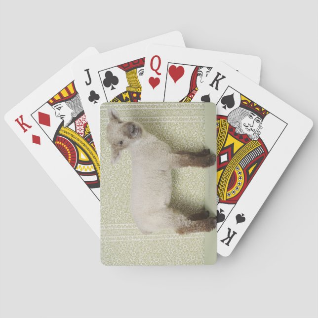 Lamb Standing Indoors, and Floral Wallpaper Poker Cards (Back)