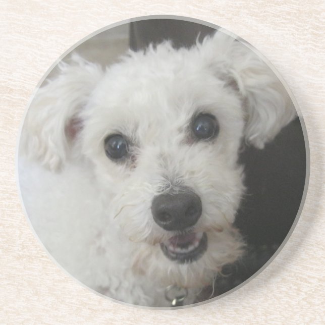 Lambchop II Drink Coaster (Front)