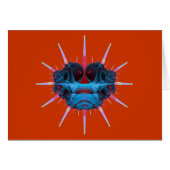 Lambdapapilloma Bug (Front Horizontal)