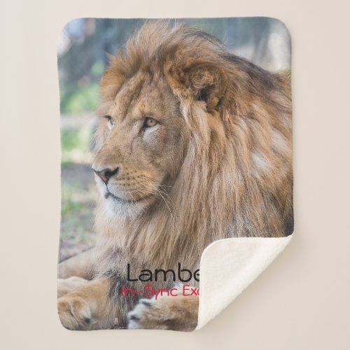 Lamber _  sherpa blanket