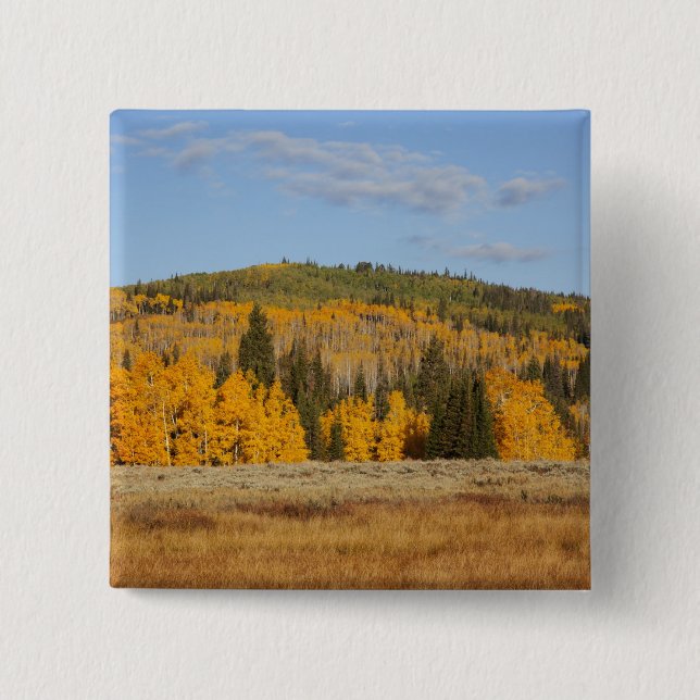 Lambert Hollow, aspen trees Pinback Button (Front)