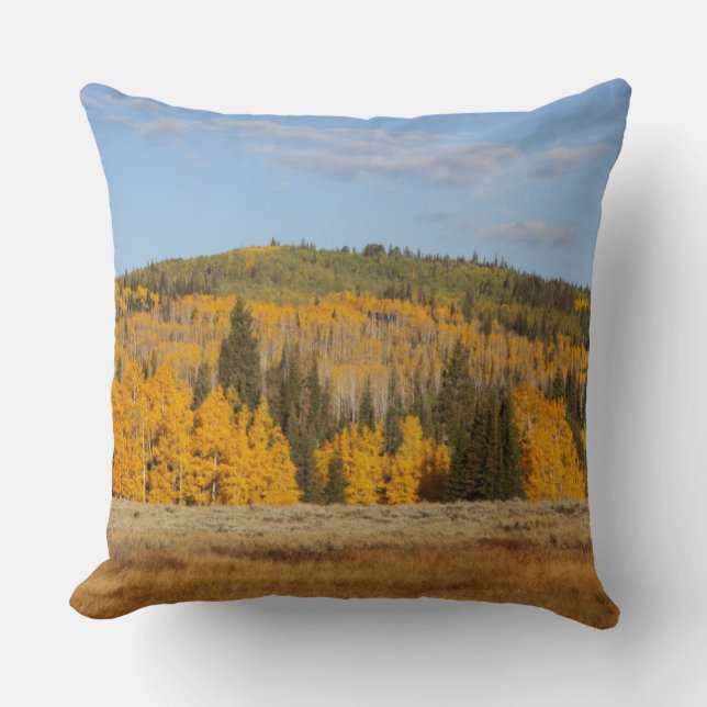 Lambert Hollow, aspen trees Throw Pillow (Front)
