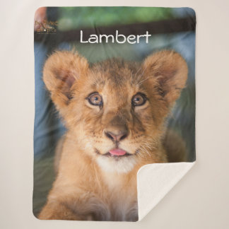 Lambert sherpa blanket